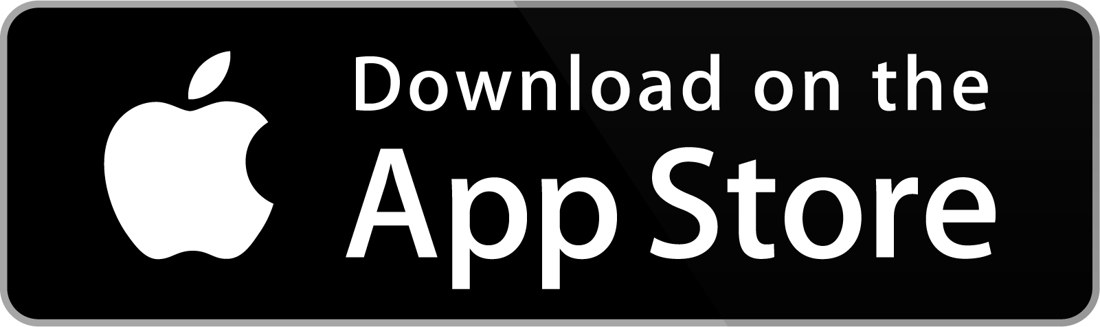 Google play store icon
